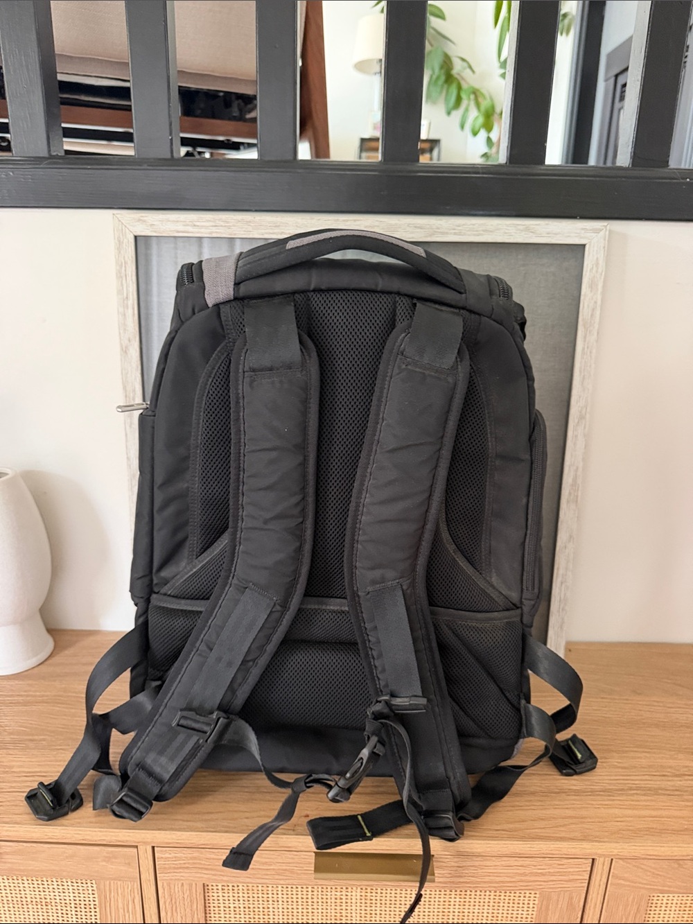 Briggs & Riley BRX Excursion Backpack - Picture 5 of 10